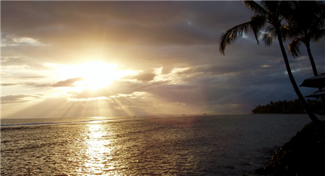 Banner Picture